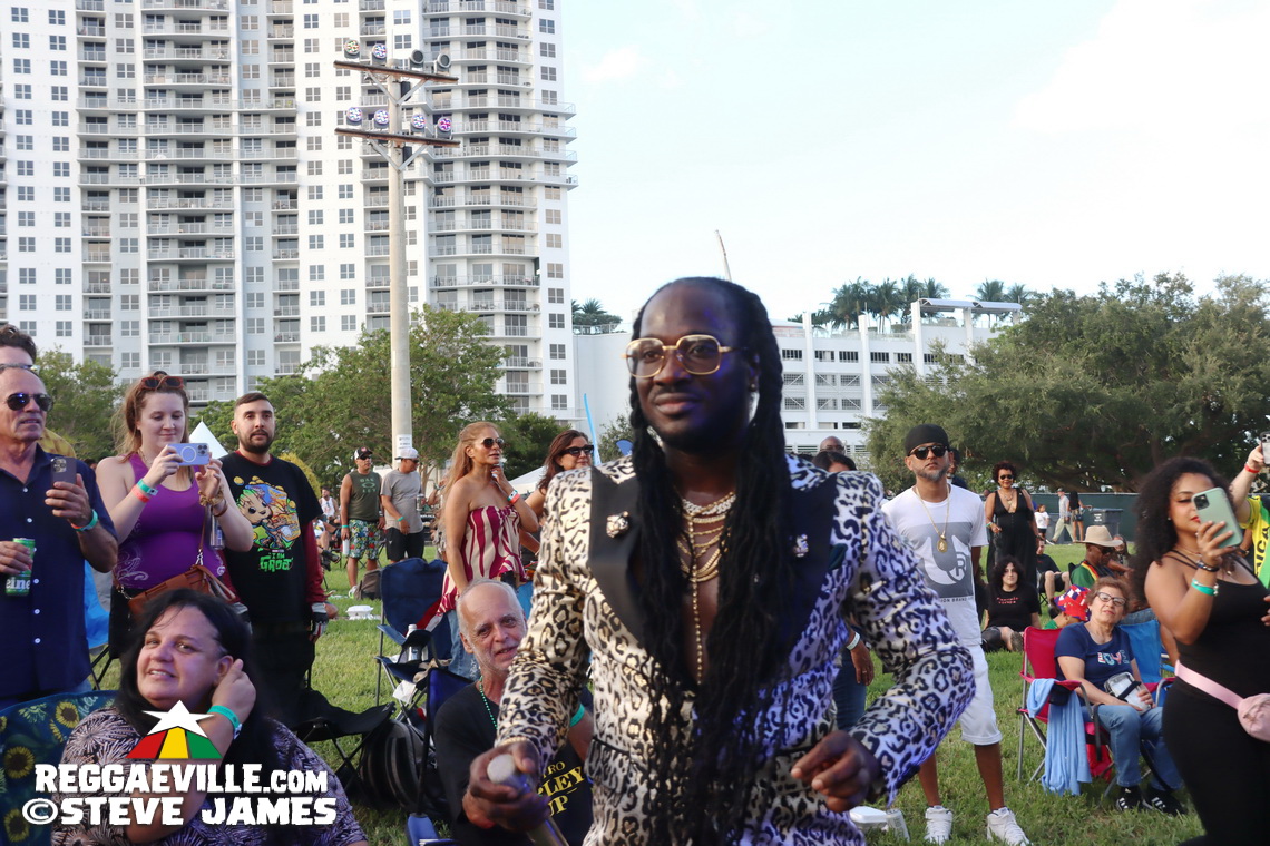 Inner Circle, I Octane, Alison Hinds, Locos Por Juana, The Dubplates