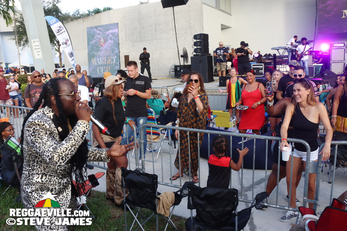 Inner Circle, I Octane, Alison Hinds, Locos Por Juana, The Dubplates