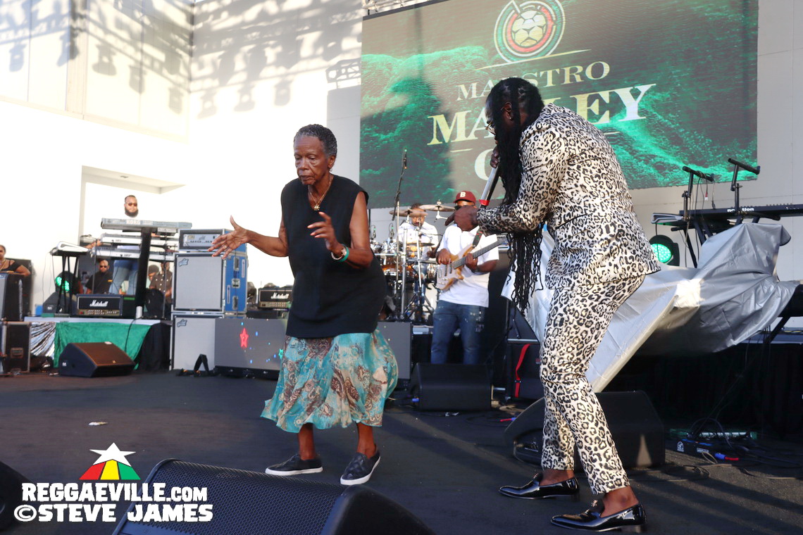 Inner Circle, I Octane, Alison Hinds, Locos Por Juana, The Dubplates