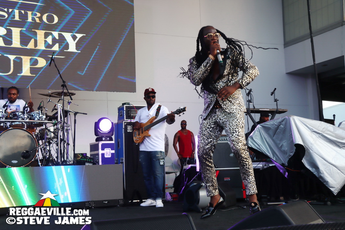 Inner Circle, I Octane, Alison Hinds, Locos Por Juana, The Dubplates