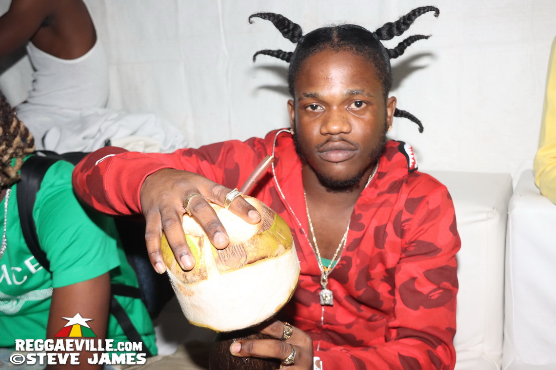 Rytikal, Duane Stephenson, Papa Michigan, Lady G