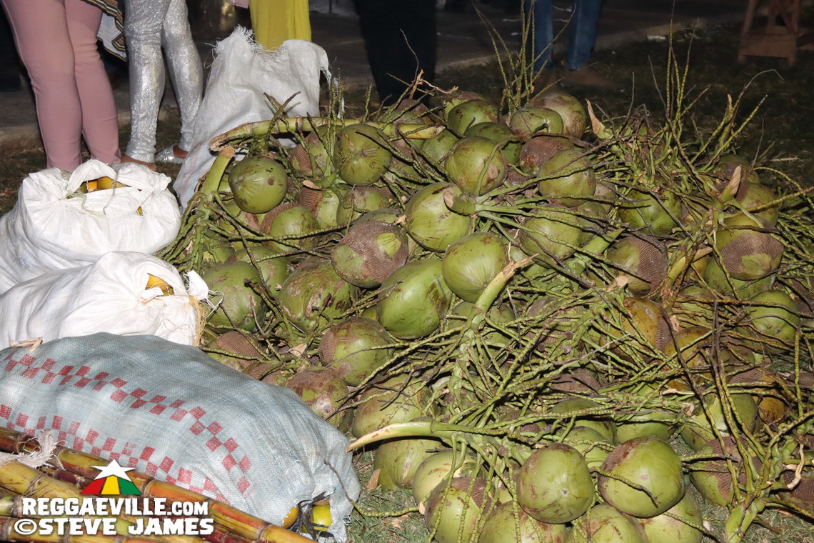 Jahshii, Tony Rebel & Abatau, Yaksta, Nation Boss