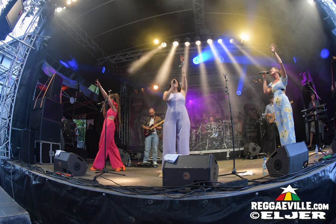 Tóke, Conscious Culture, Betrayers of Babylon