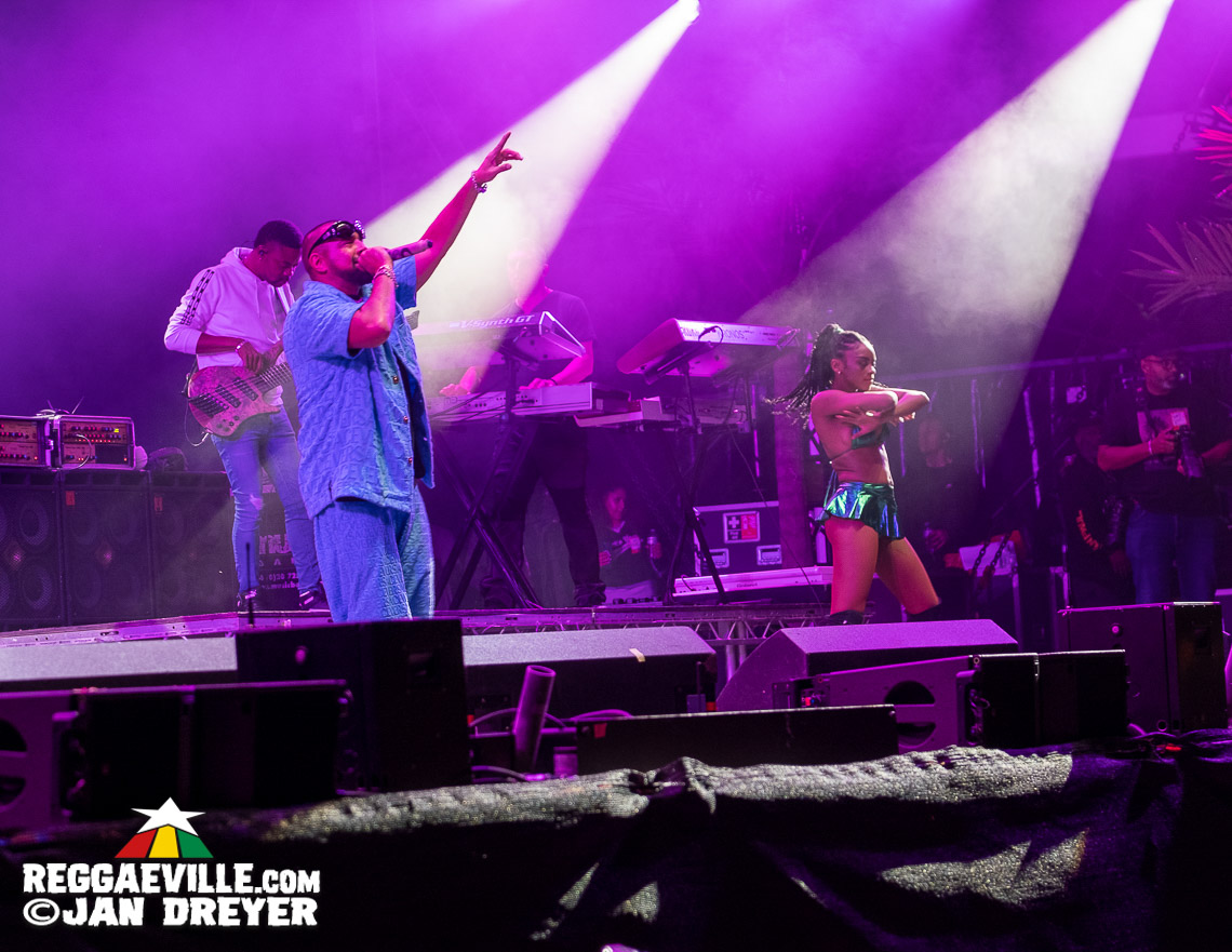 Barrington Levy, Sean Paul, Lila Iké, The Legendary Wailers feat. Junior Marvin