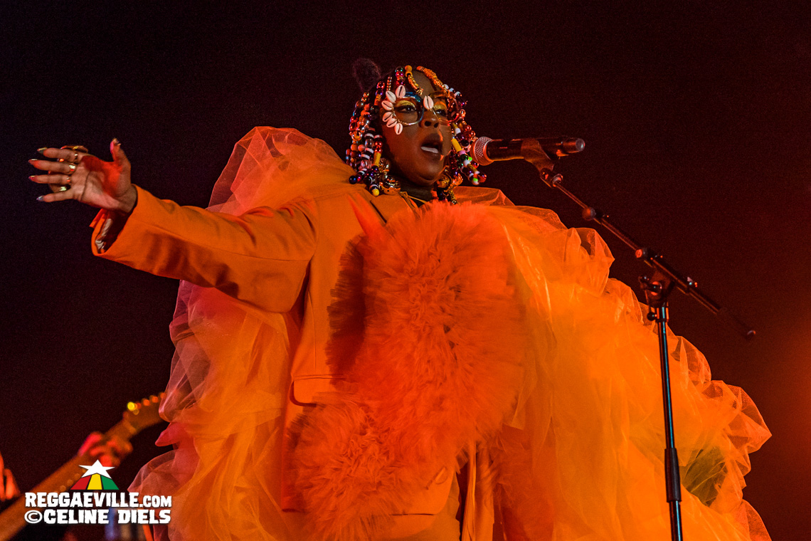 Julian Marley & The Wailers, Lauryn Hill, Mad Professor, Horace Andy