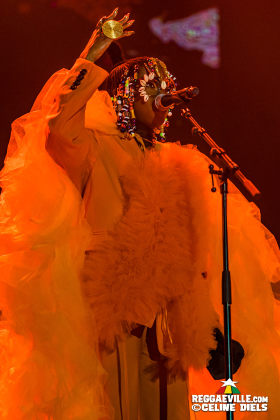 Julian Marley & The Wailers, Lauryn Hill, Mad Professor, Horace Andy