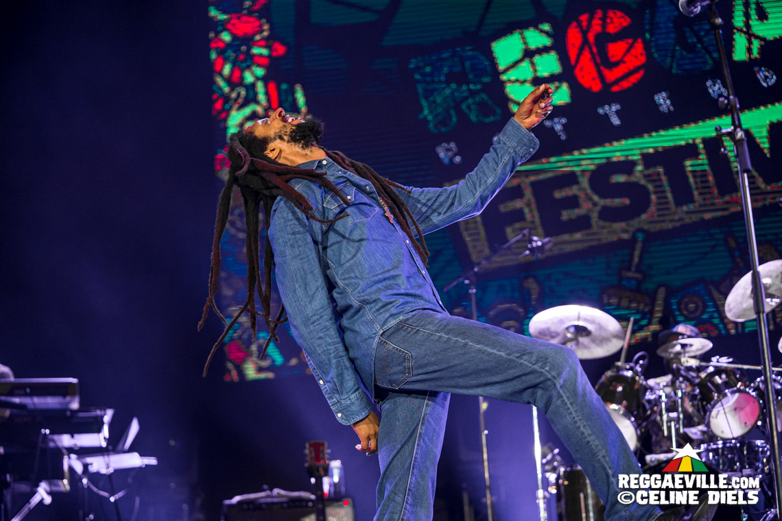 Julian Marley & The Wailers, Lauryn Hill, Mad Professor, Horace Andy