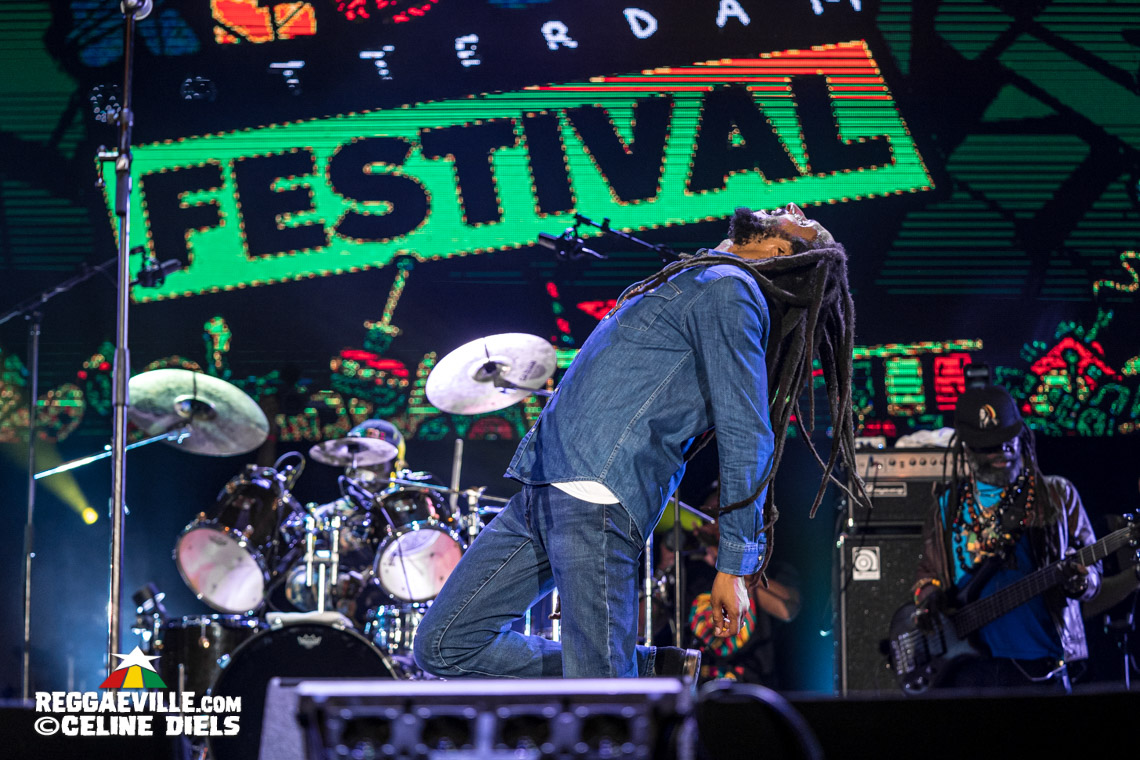 Julian Marley & The Wailers, Lauryn Hill, Mad Professor, Horace Andy