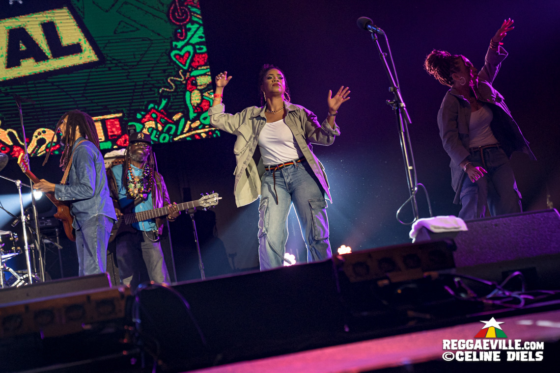 Julian Marley & The Wailers, Lauryn Hill, Mad Professor, Horace Andy