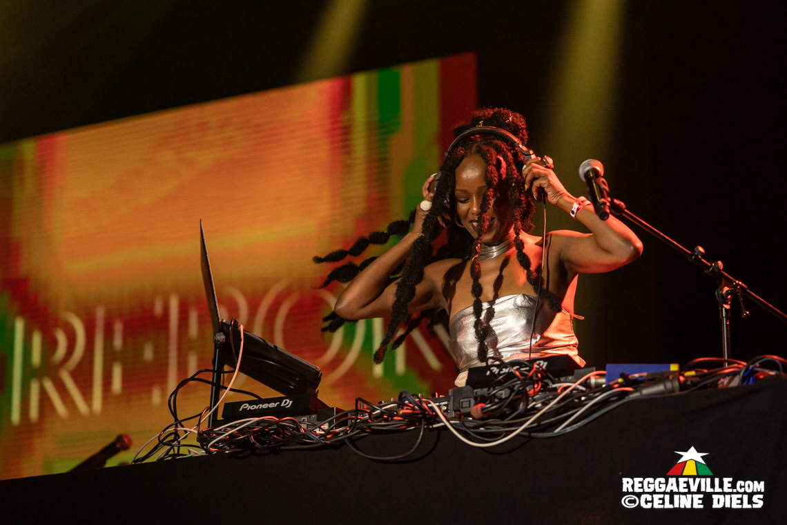 Julian Marley & The Wailers, Lauryn Hill, Mad Professor, Horace Andy