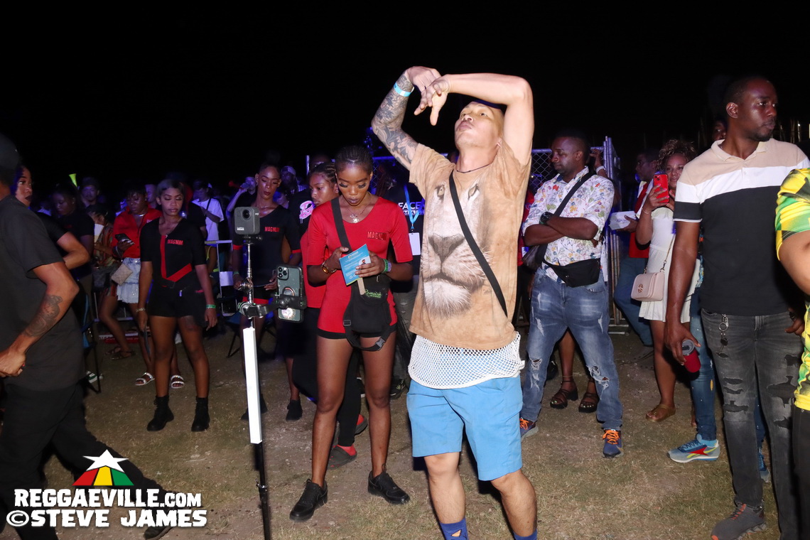 Bass Odyssey vs. Dynamq vs. Jah Works vs. Code Red vs. Echo One Sound