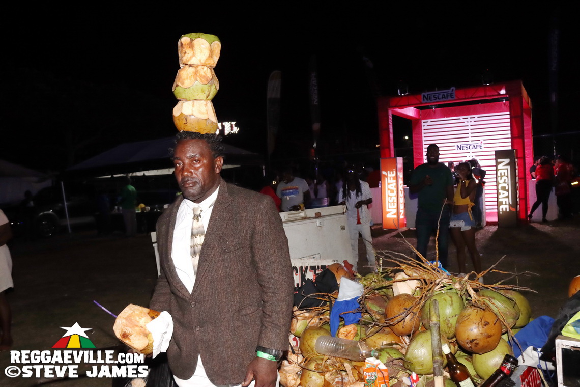 Bass Odyssey vs. Dynamq vs. Jah Works vs. Code Red vs. Echo One Sound