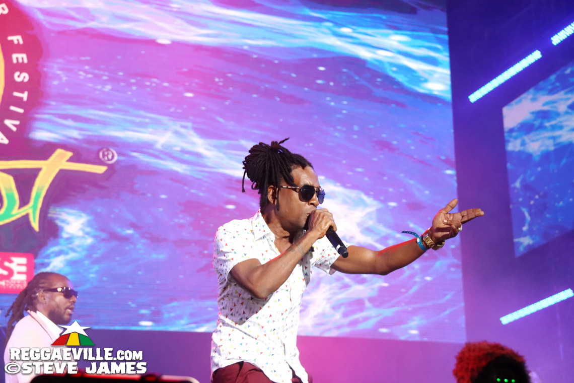 Roze Don, Moyann, Jah Vinci, Stalk Ashley and more...