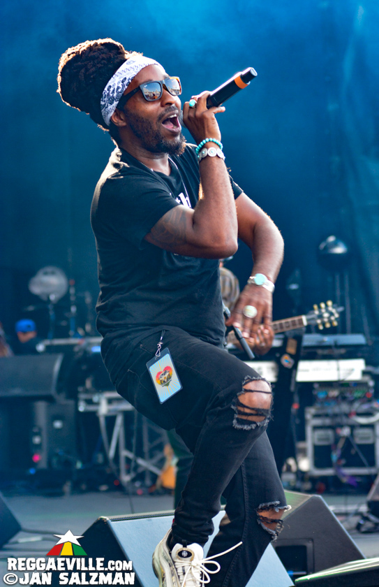 Stephen Marley, Fortunate Youth, Sister Nancy, Arise Roots