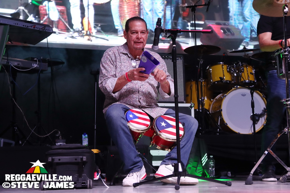 Tony Rebel, Nadine Sutherland, Sharon Marley, Kenny Haiti