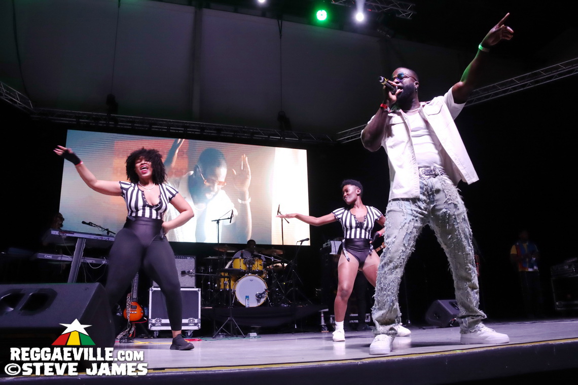 Tony Rebel, Nadine Sutherland, Sharon Marley, Kenny Haiti