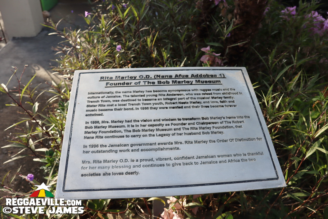 Vibes @ Bob Marley Museum