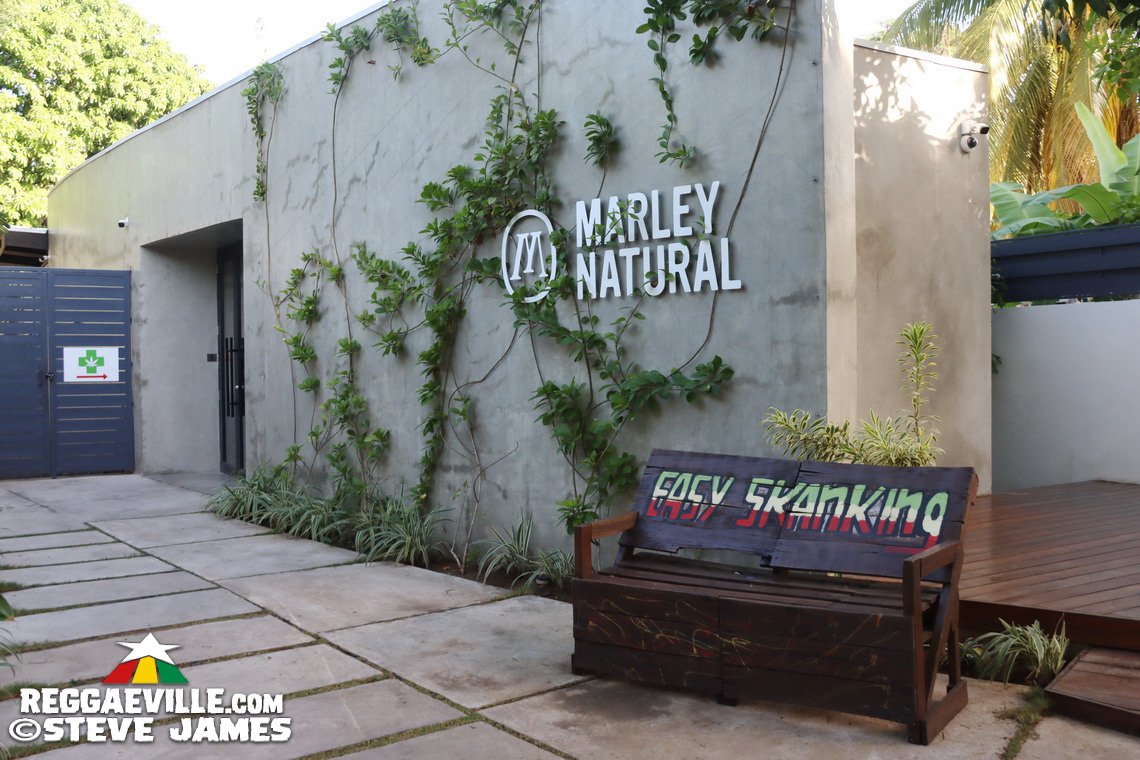 Vibes @ Bob Marley Museum