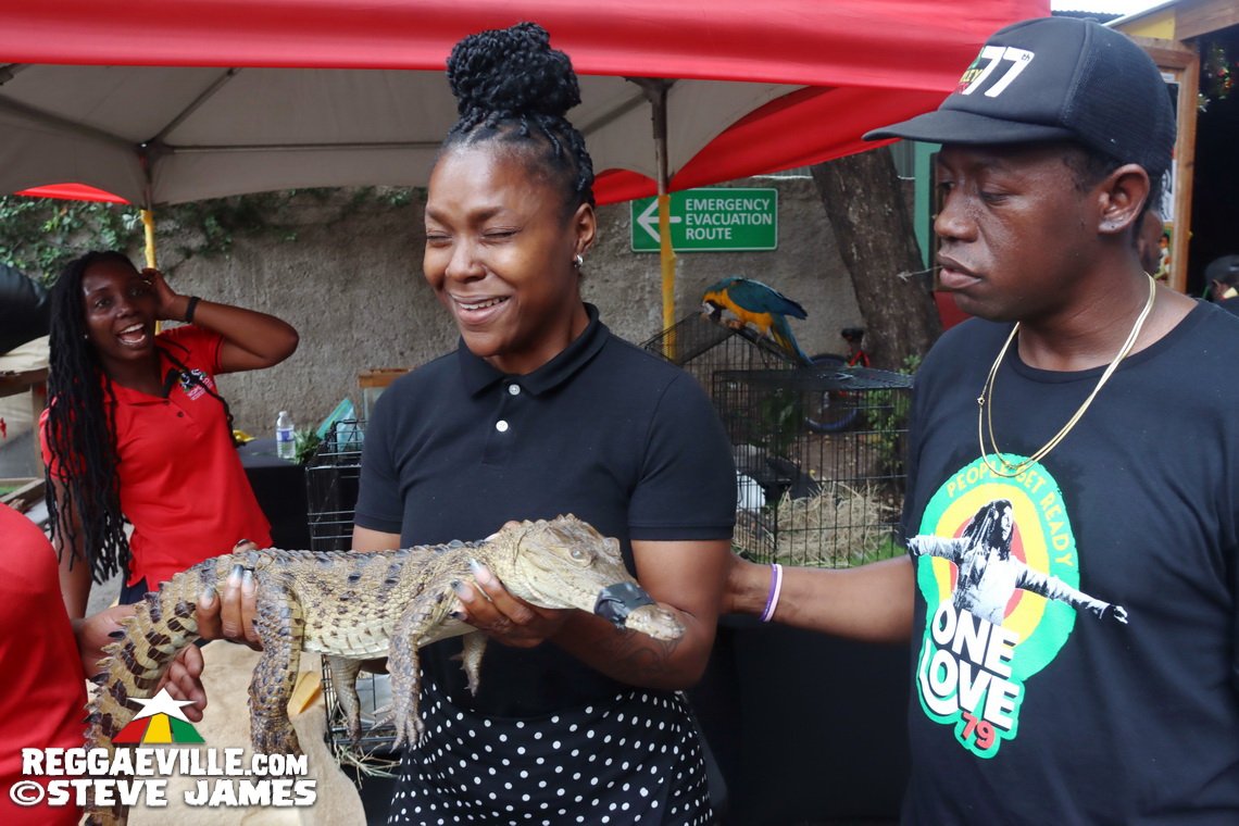 Vibes @ Bob Marley Museum