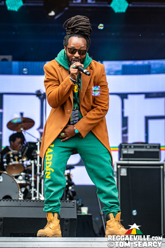 Ziggy Marley, Kabaka Pyramid, Arise Roots