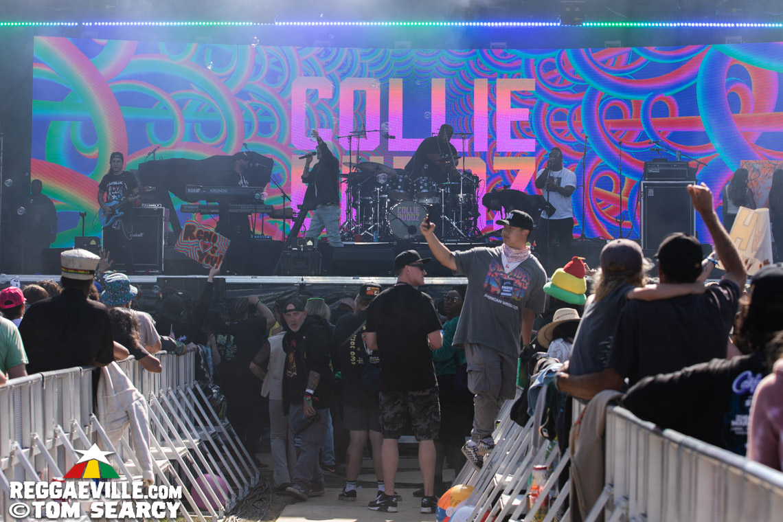 Rebelution, Collie Buddz, The Green, Ice Cube, DMP