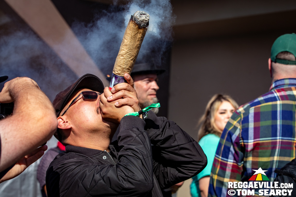 Rebelution, Collie Buddz, The Green, Ice Cube, DMP