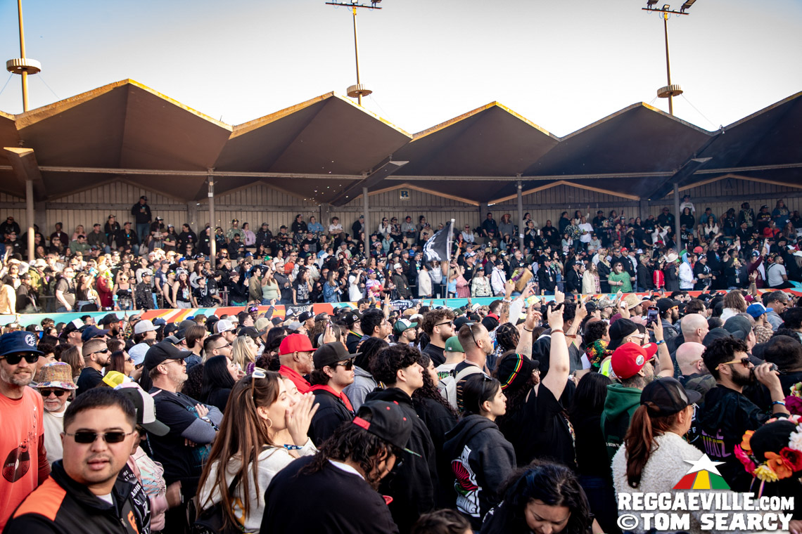 Rebelution, Collie Buddz, The Green, Ice Cube, DMP