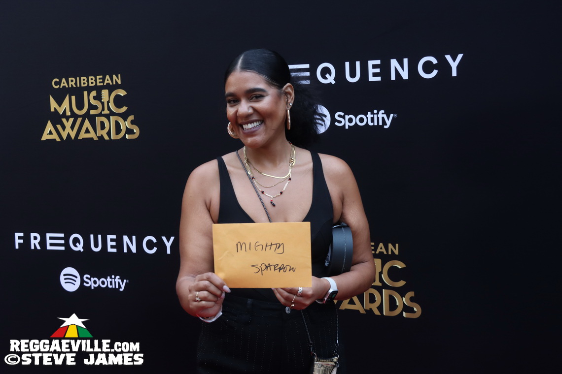 Red Carpet with Alison Hinds, Cham, Marlon Asher, DJ Cassidy...