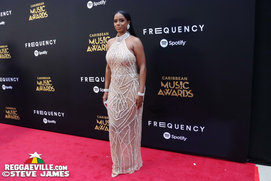 Red Carpet with Alison Hinds, Cham, Marlon Asher, DJ Cassidy...