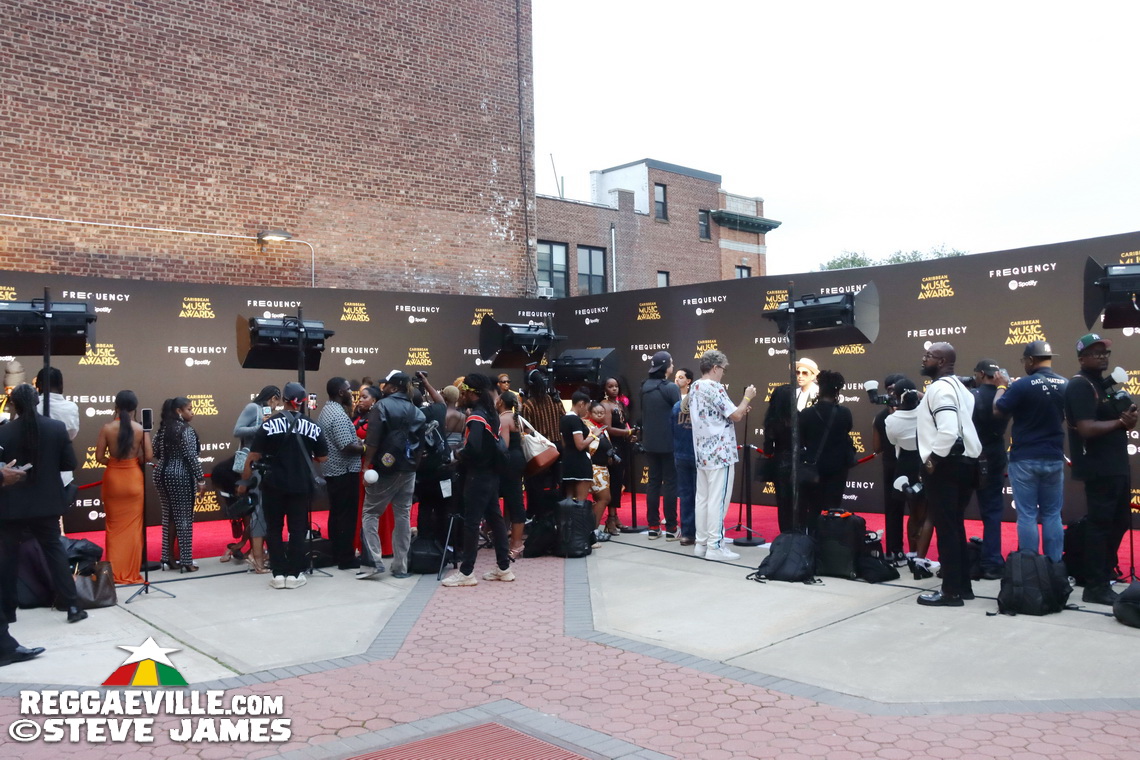 Red Carpet with Alison Hinds, Cham, Marlon Asher, DJ Cassidy...