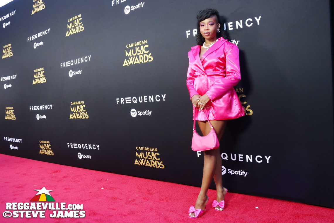 Red Carpet with Alison Hinds, Cham, Marlon Asher, DJ Cassidy...