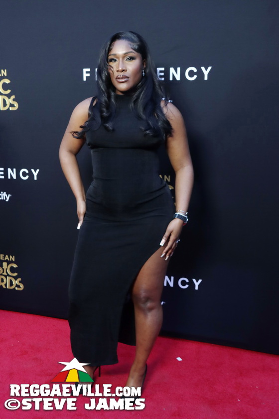 Red Carpet with Alison Hinds, Cham, Marlon Asher, DJ Cassidy...