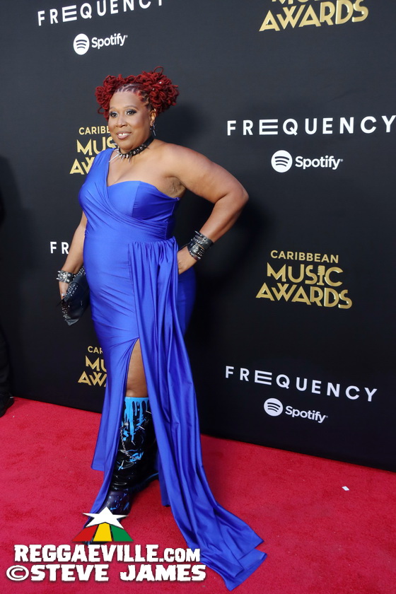 Red Carpet with Alison Hinds, Cham, Marlon Asher, DJ Cassidy...