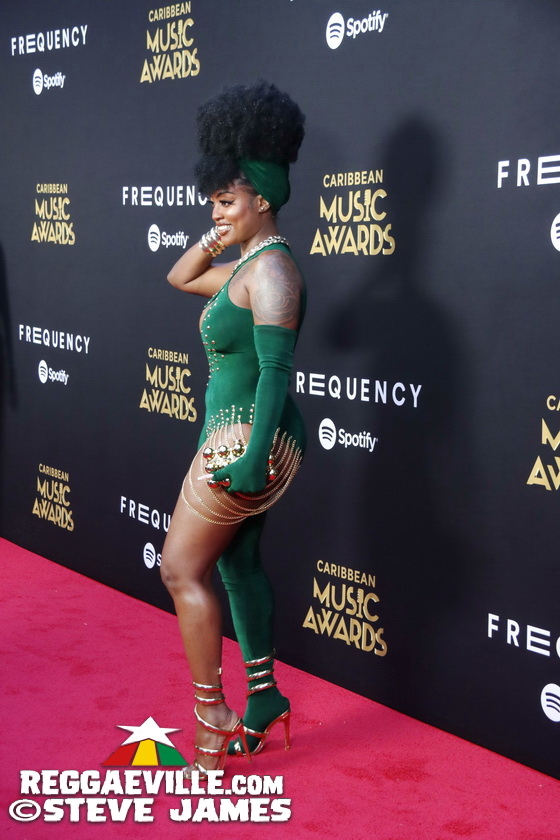 Red Carpet with Alison Hinds, Cham, Marlon Asher, DJ Cassidy...