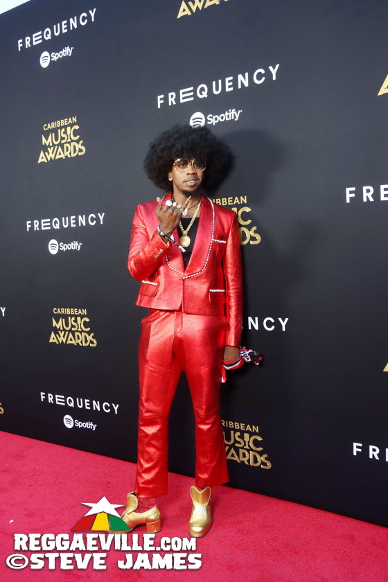 Red Carpet with Alison Hinds, Cham, Marlon Asher, DJ Cassidy...