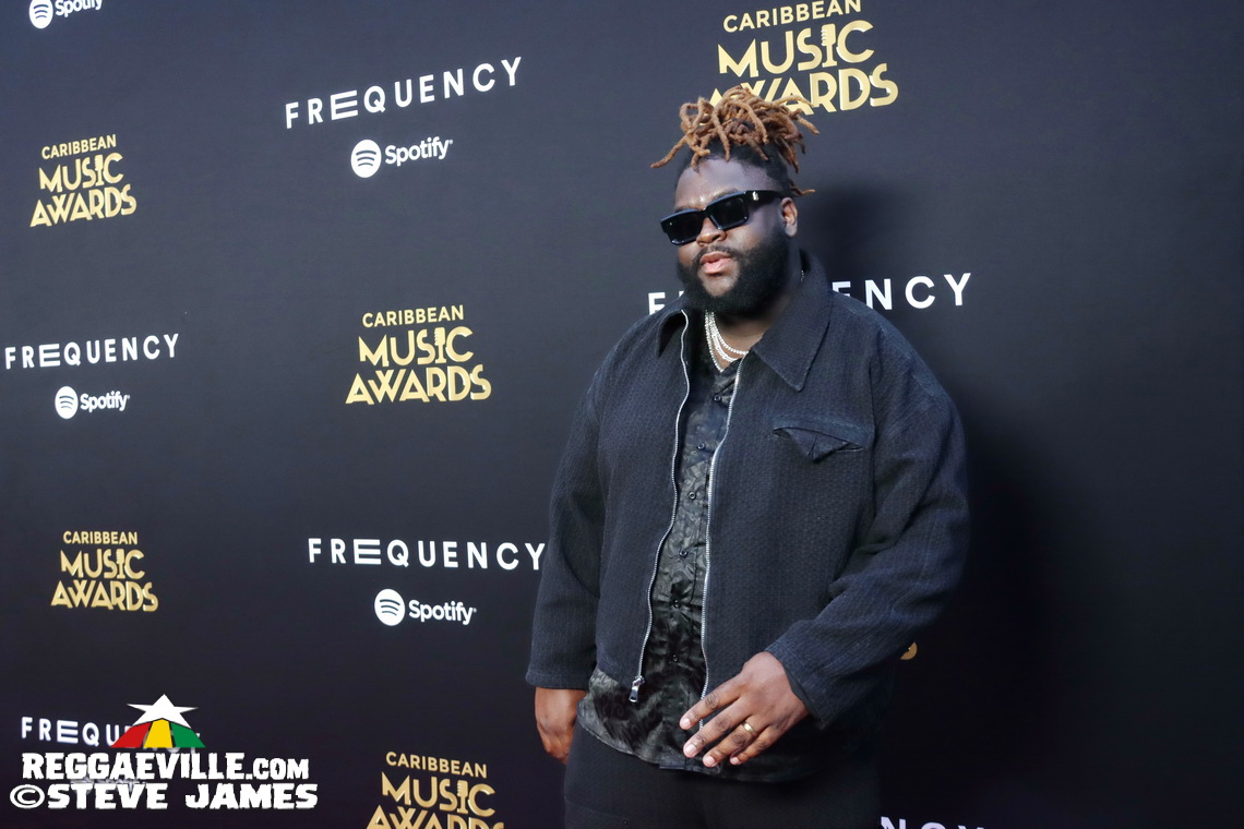 Red Carpet with Alison Hinds, Cham, Marlon Asher, DJ Cassidy...