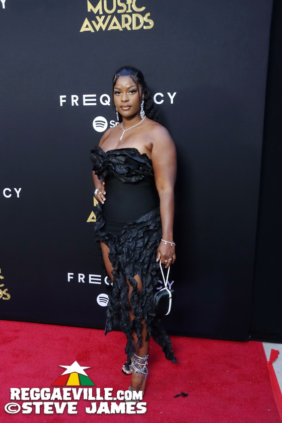 Red Carpet with Alison Hinds, Cham, Marlon Asher, DJ Cassidy...