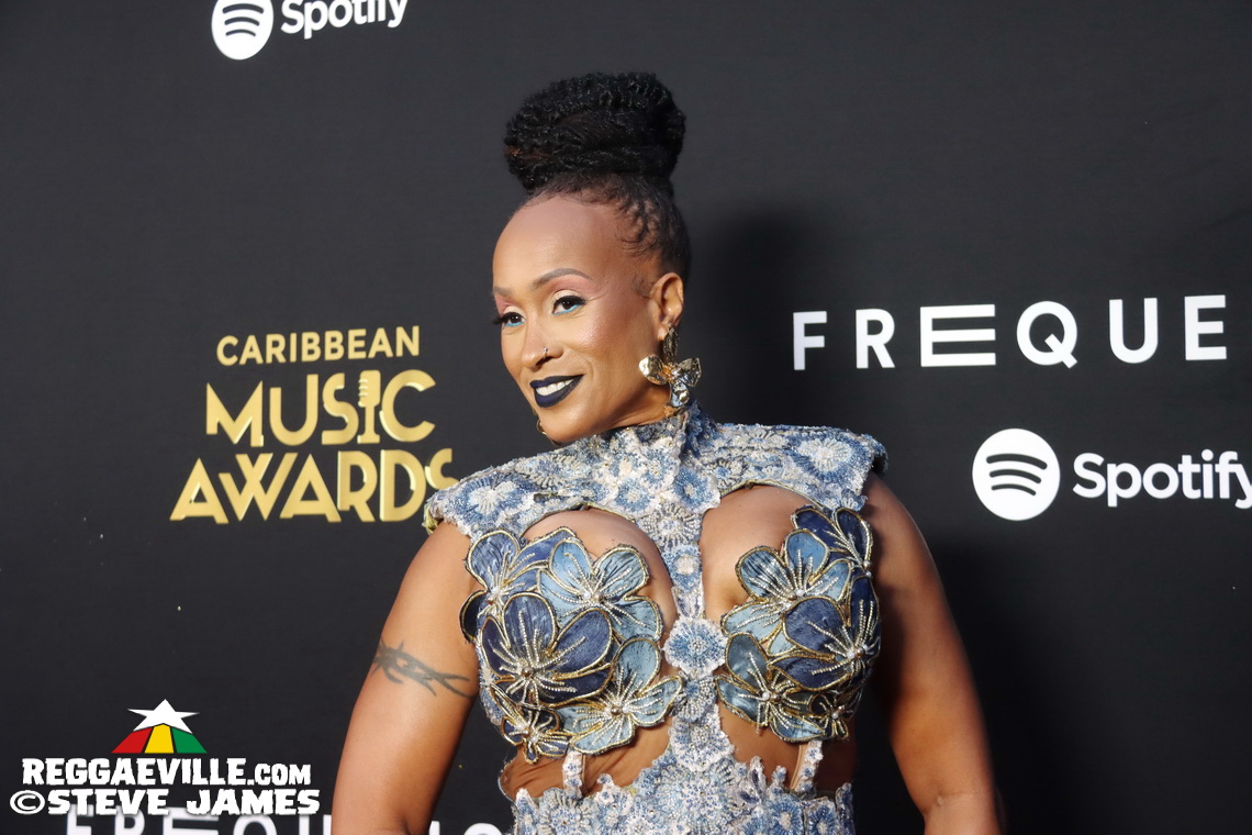 Red Carpet with Alison Hinds, Cham, Marlon Asher, DJ Cassidy...