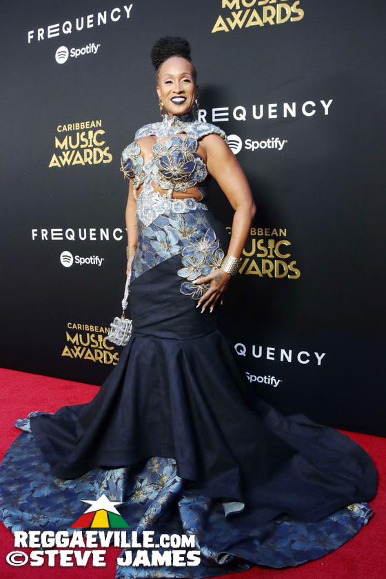 Red Carpet with Alison Hinds, Cham, Marlon Asher, DJ Cassidy...