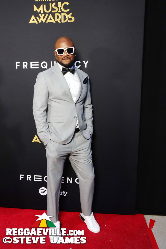 Red Carpet with Alison Hinds, Cham, Marlon Asher, DJ Cassidy...