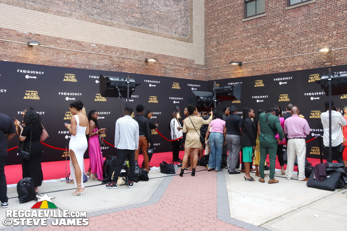 Red Carpet with Alison Hinds, Cham, Marlon Asher, DJ Cassidy...