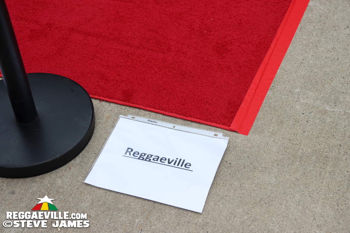 Red Carpet with Alison Hinds, Cham, Marlon Asher, DJ Cassidy...