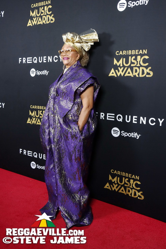 Red Carpet with Morgan Heritage, Marcia Griffiths, Spice, Cham...