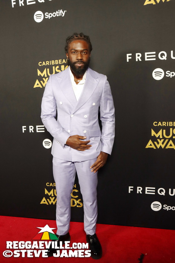 Red Carpet with Morgan Heritage, Marcia Griffiths, Spice, Cham...