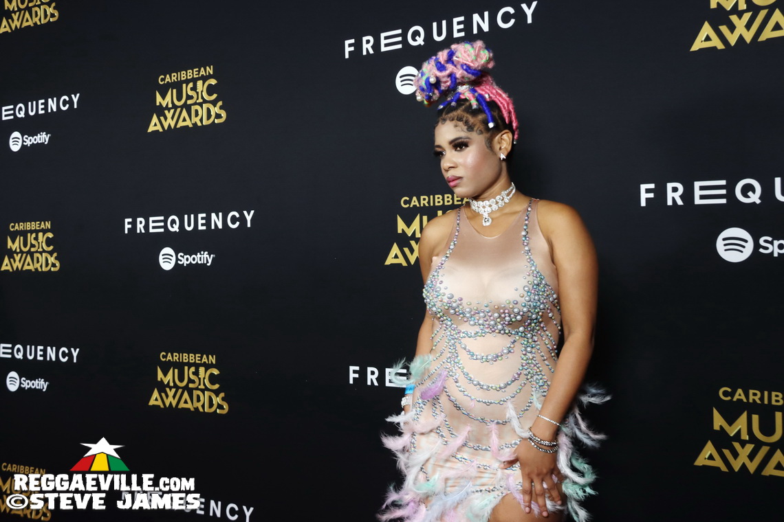 Red Carpet with Morgan Heritage, Marcia Griffiths, Spice, Cham...