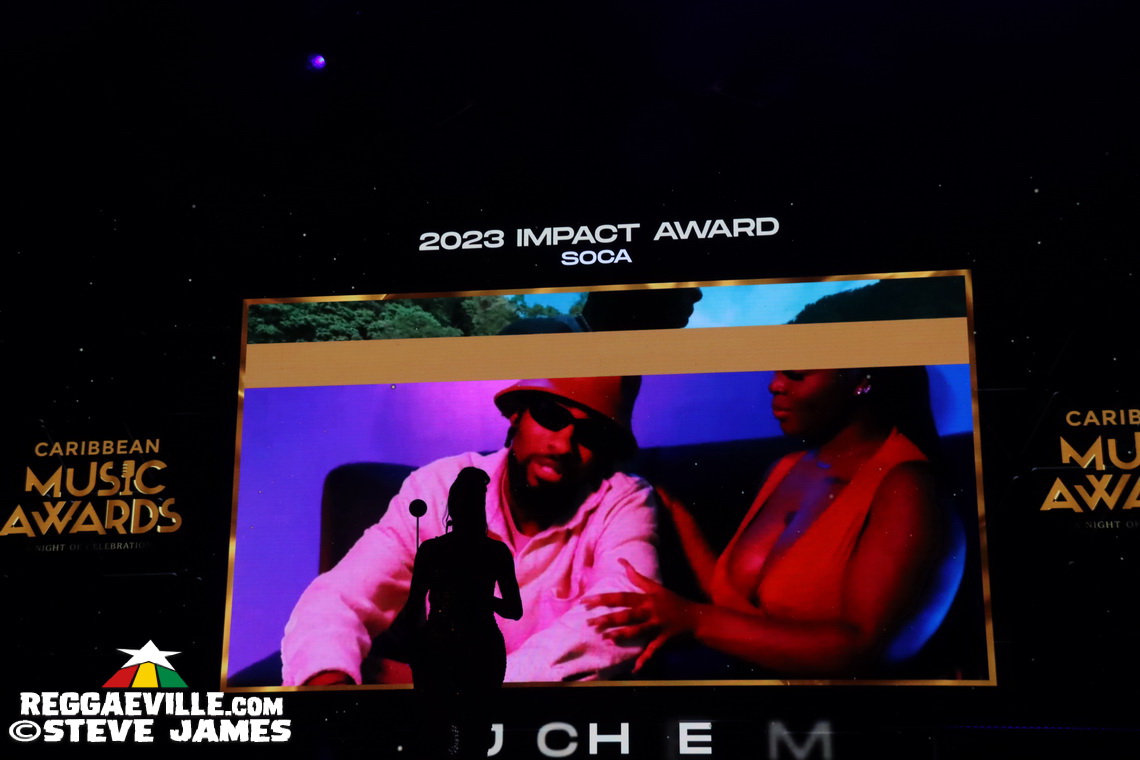 Cedella Marley, Spice, Romain Virgo, Dexta Daps...