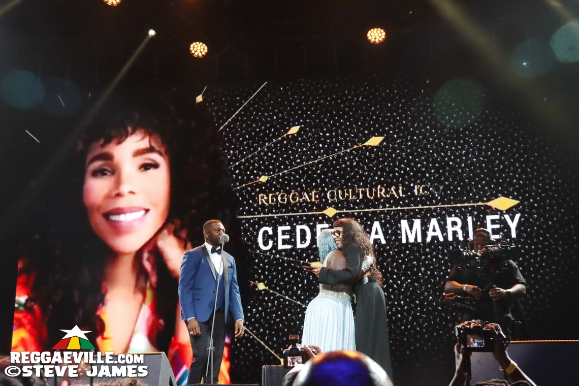 Cedella Marley, Spice, Romain Virgo, Dexta Daps...