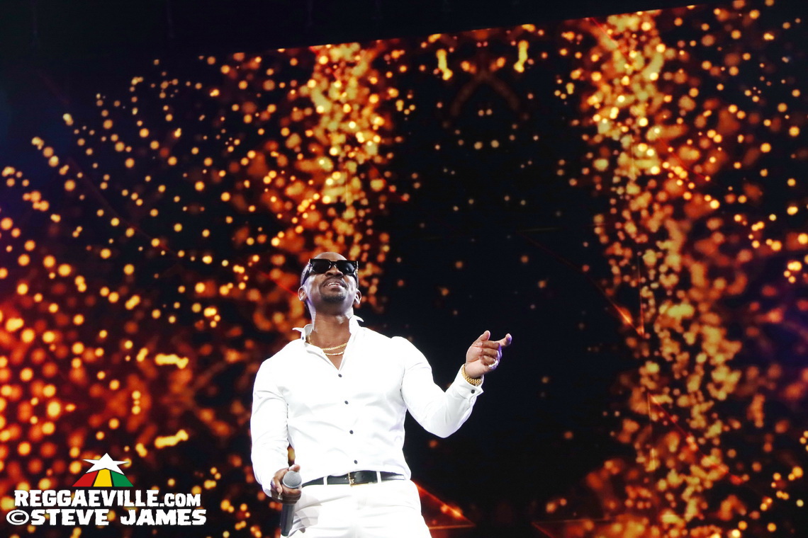 Cedella Marley, Spice, Romain Virgo, Dexta Daps...