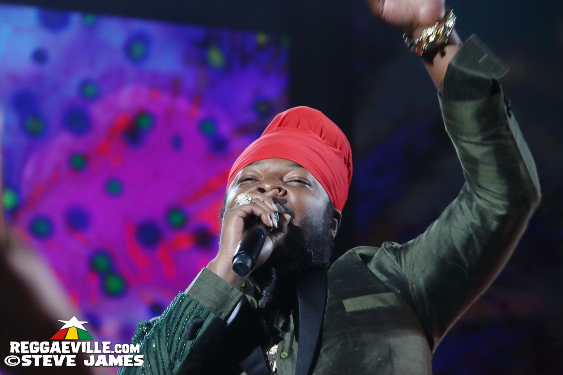 Cedella Marley, Spice, Romain Virgo, Dexta Daps...