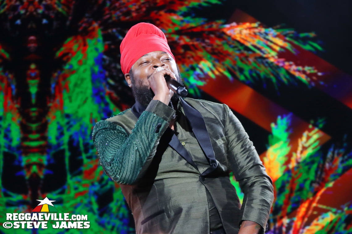 Cedella Marley, Spice, Romain Virgo, Dexta Daps...